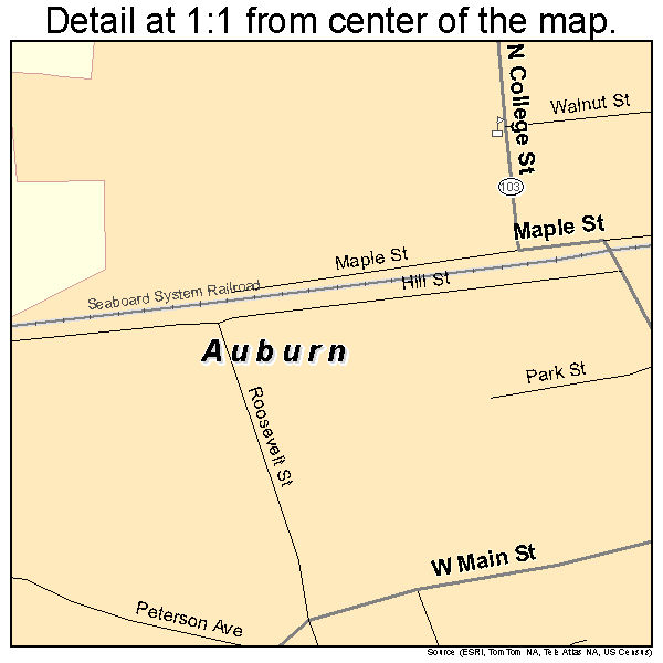 Auburn, Kentucky road map detail