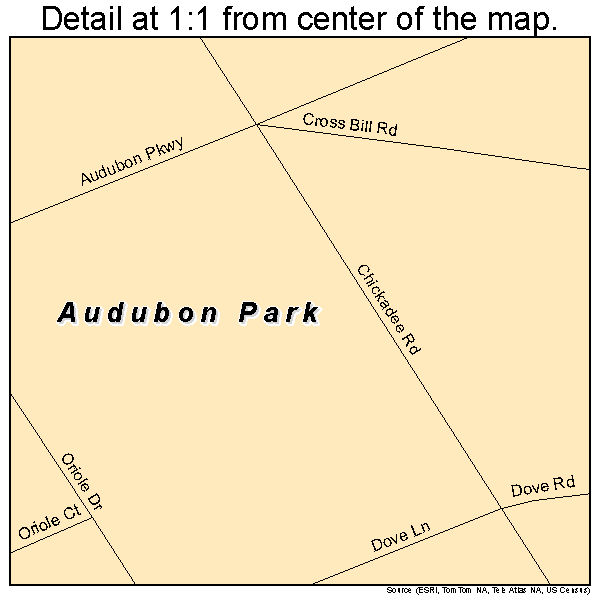 Audubon Park, Kentucky road map detail