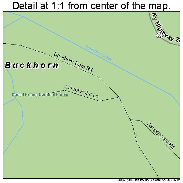 Buckhorn, Kentucky road map detail