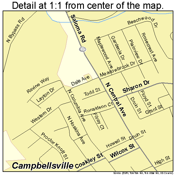 Campbellsville, Kentucky road map detail