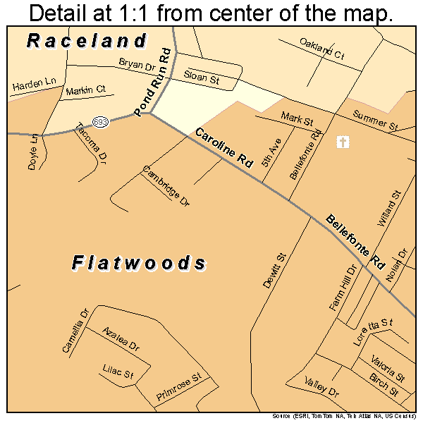 Flatwoods, Kentucky road map detail