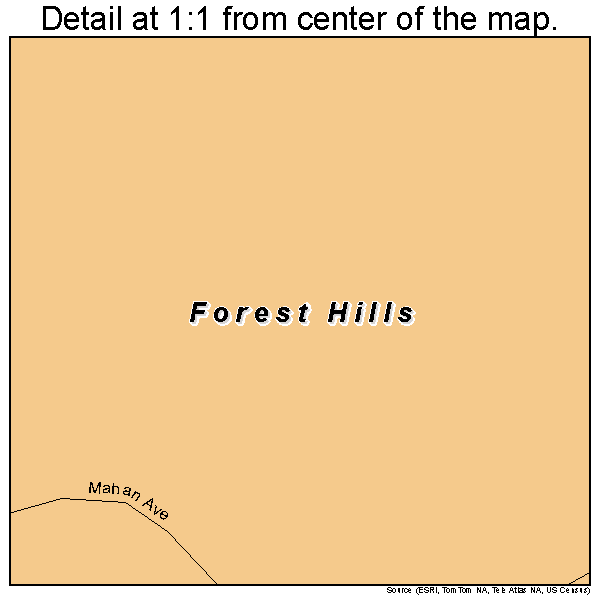 Forest Hills, Kentucky road map detail