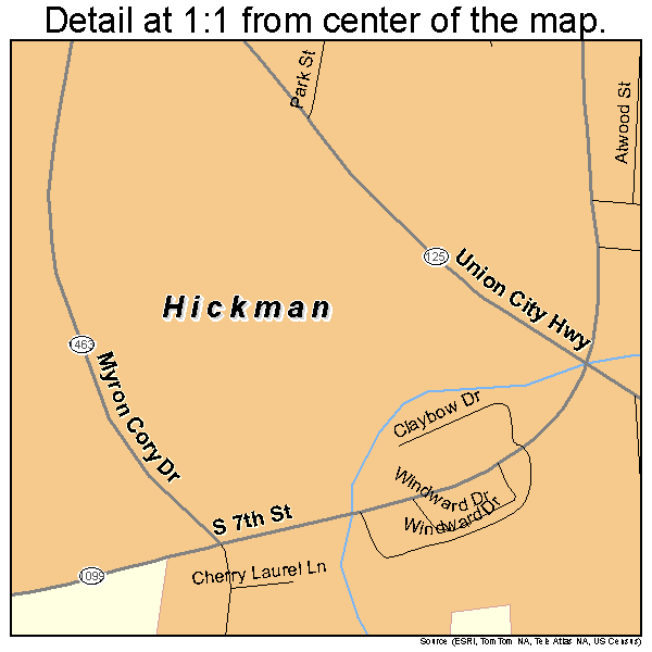Hickman, Kentucky road map detail