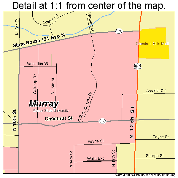 Murray, Kentucky road map detail