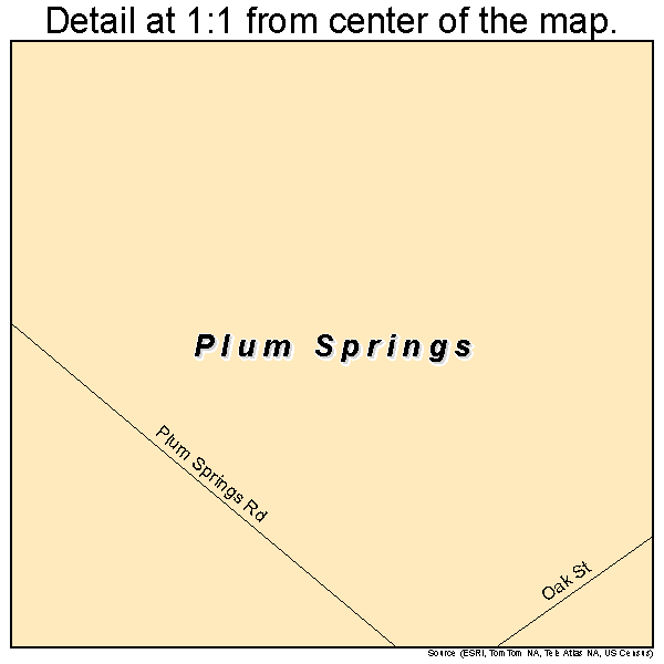 Plum Springs, Kentucky road map detail