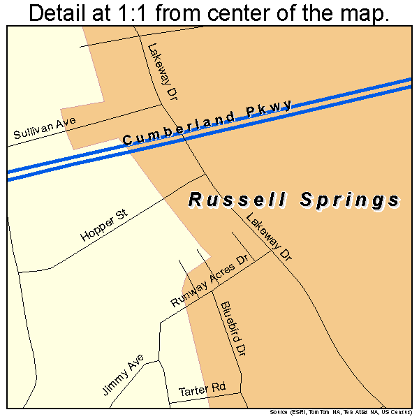 Russell Springs, Kentucky road map detail