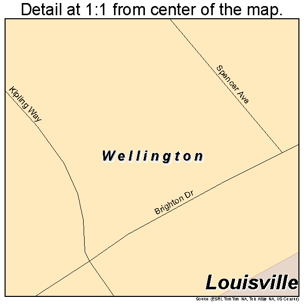 Wellington, Kentucky road map detail
