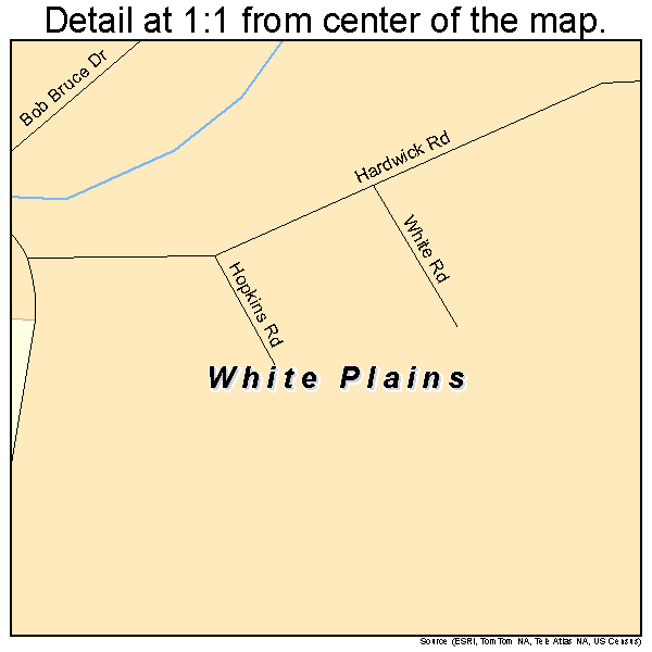 White Plains, Kentucky road map detail