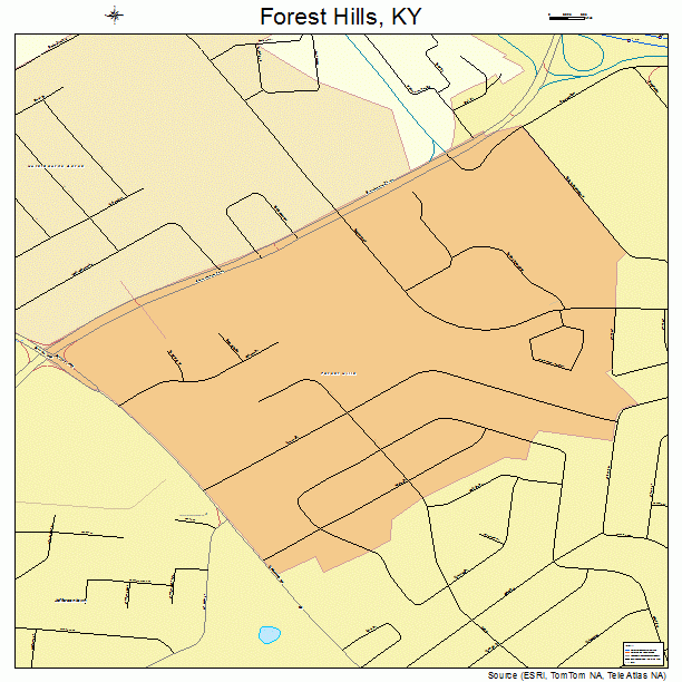 Forest Hills, KY street map