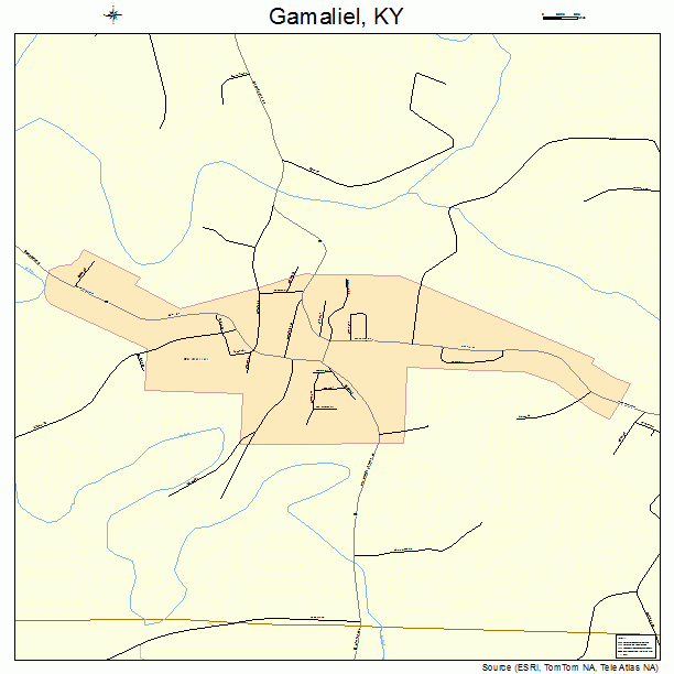 Gamaliel, KY street map