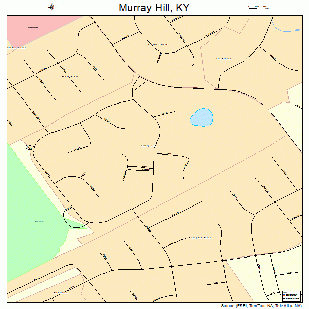 Murray Hill, KY street map