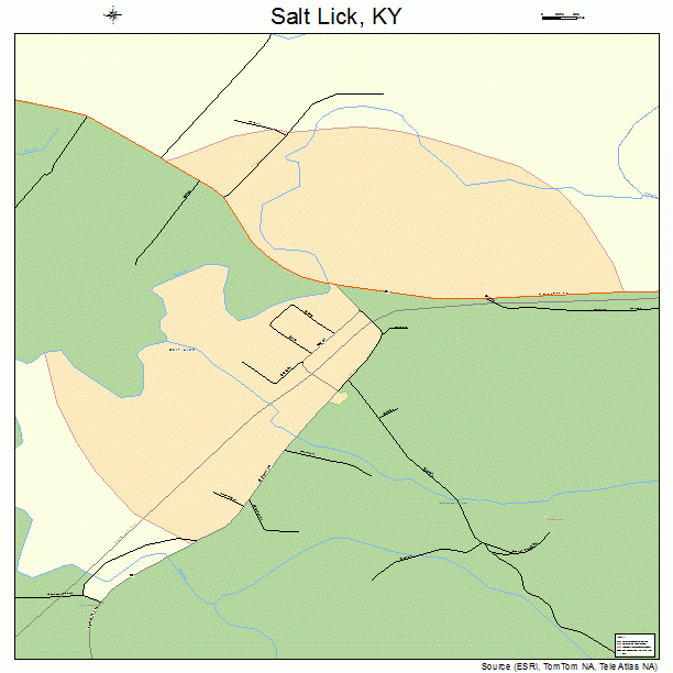 Salt Lick, KY street map