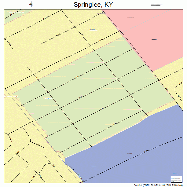 Springlee, KY street map