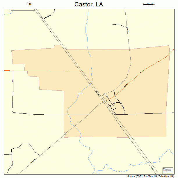 Castor, LA street map