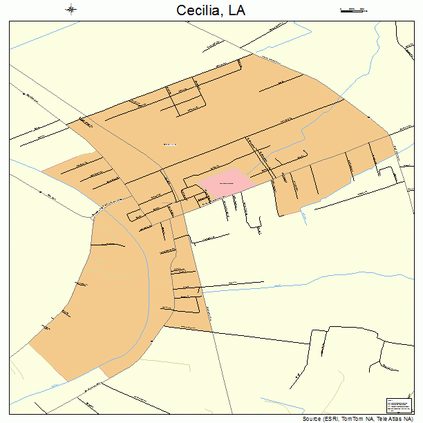 Cecilia, LA street map