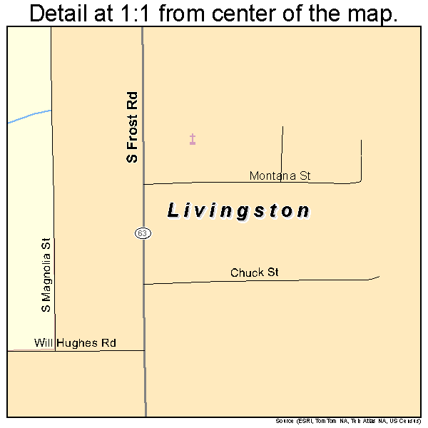Livingston, Louisiana road map detail