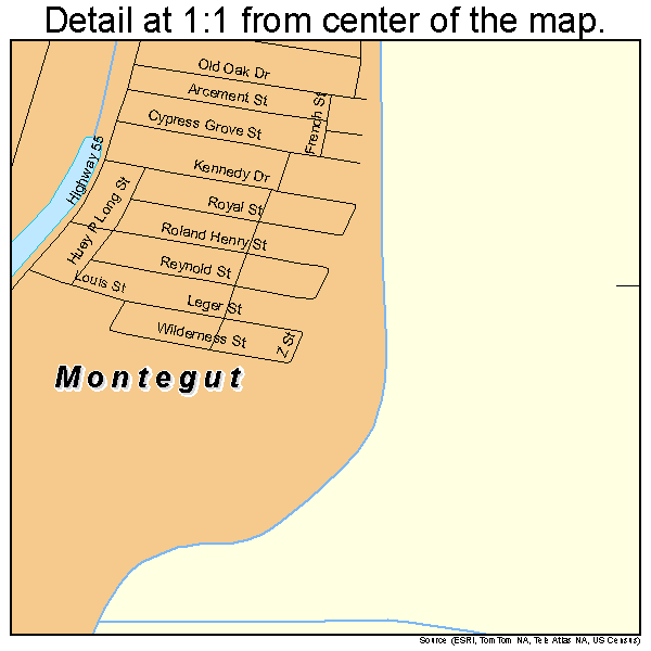 Montegut, Louisiana road map detail