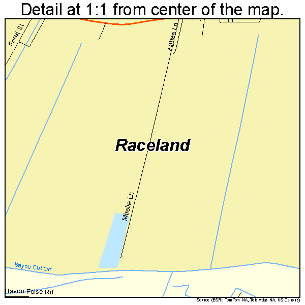 Raceland, Louisiana road map detail