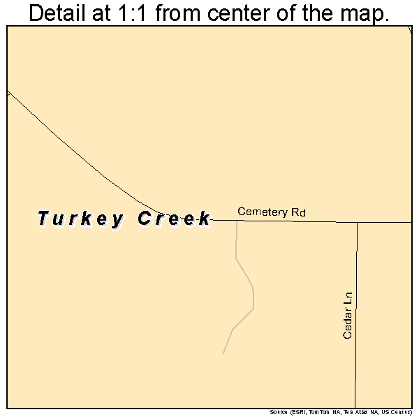 Turkey Creek, Louisiana road map detail