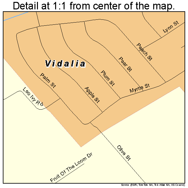 Vidalia, Louisiana road map detail