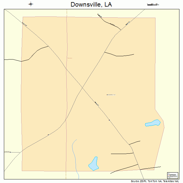 Downsville, LA street map