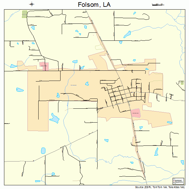 Folsom, LA street map