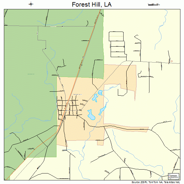 Forest Hill, LA street map
