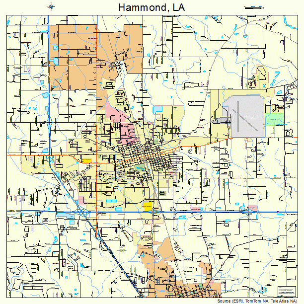 Hammond Louisiana Street Map 2232755