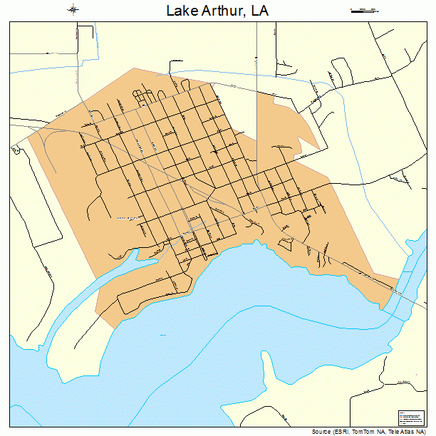 Lake Arthur, LA street map