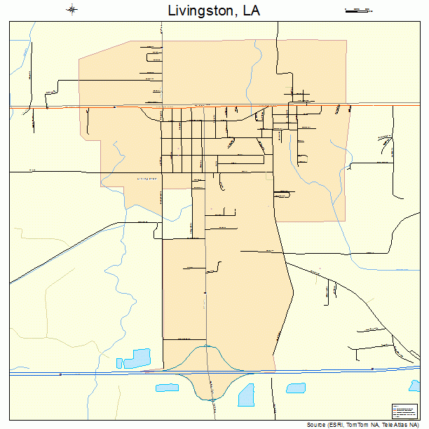 Livingston, LA street map