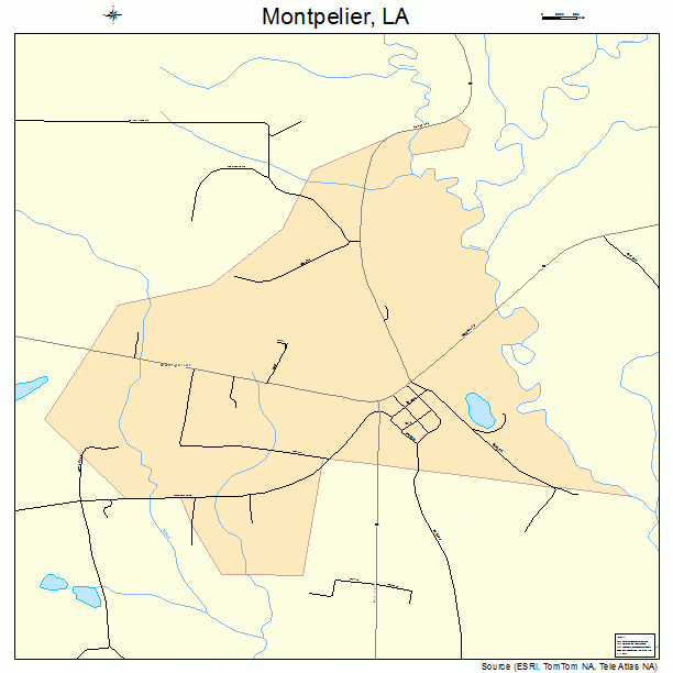 Montpelier, LA street map