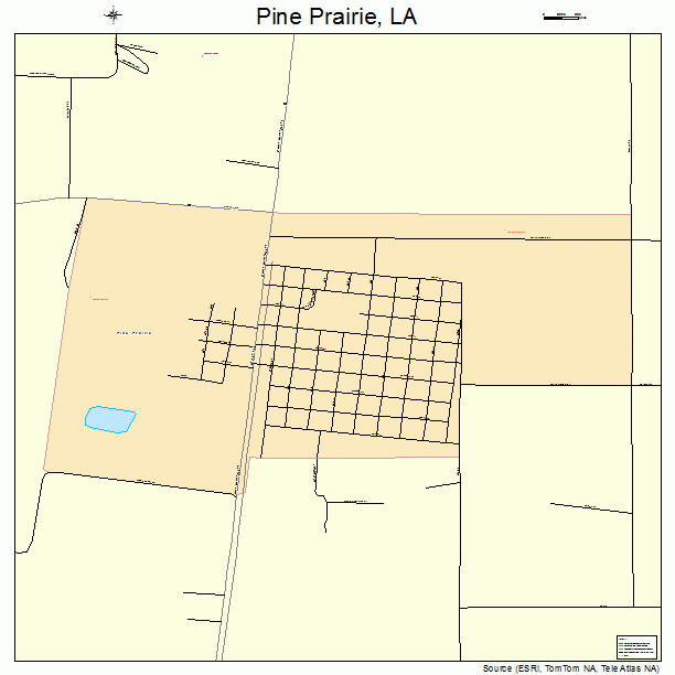 Pine Prairie, LA street map