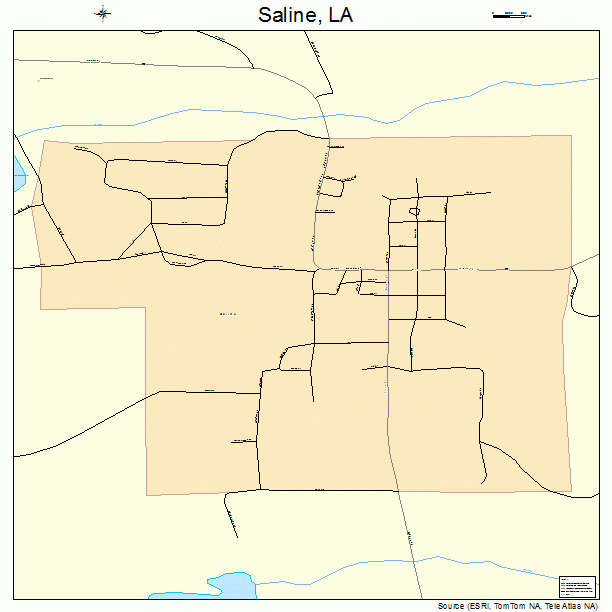 Saline, LA street map