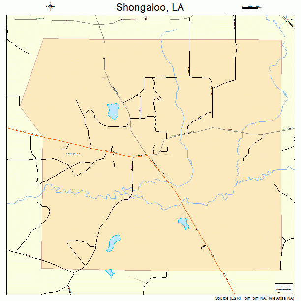 Shongaloo, LA street map