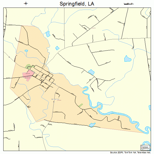 Springfield, LA street map