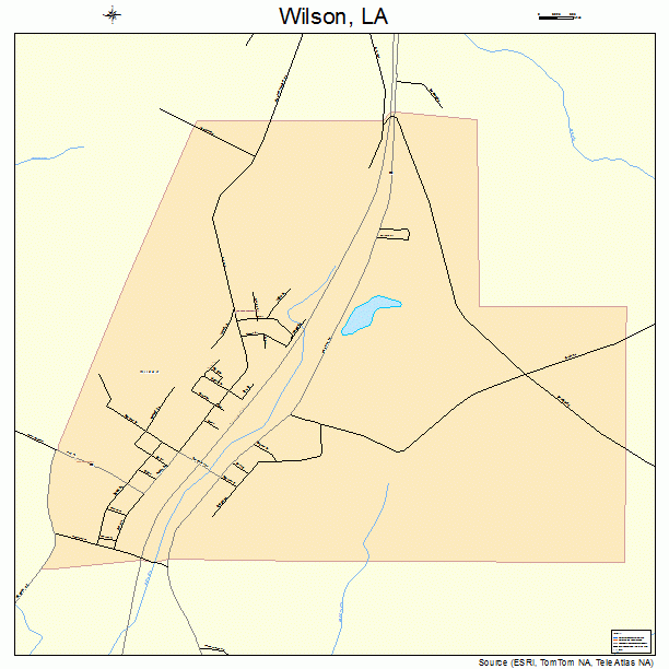 Wilson, LA street map