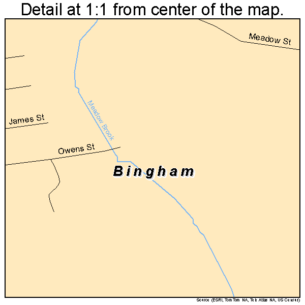 Bingham, Maine road map detail