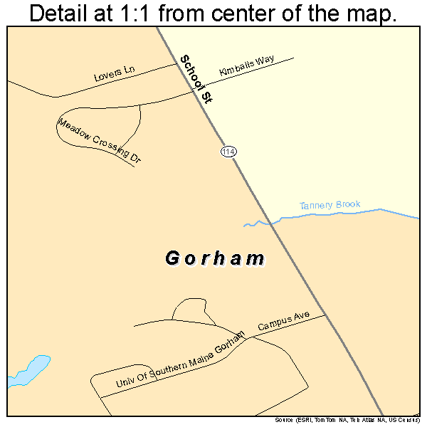Gorham Maine Street Map 2328205