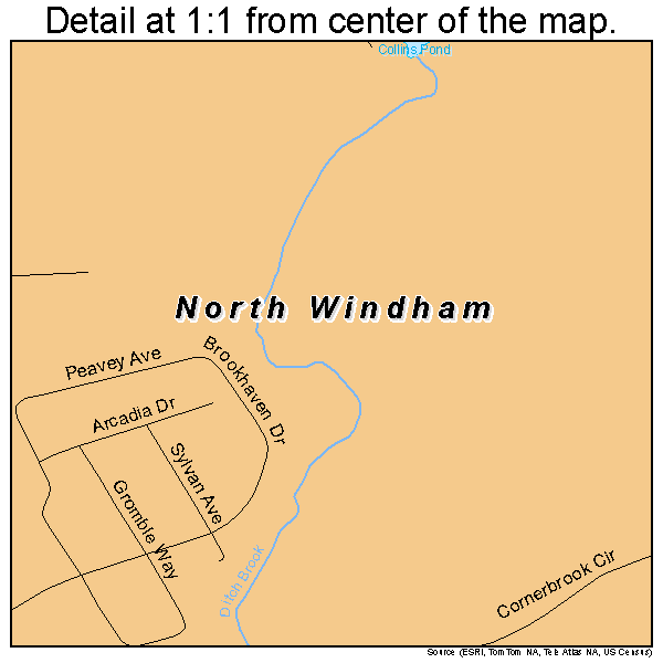 North Windham, Maine road map detail