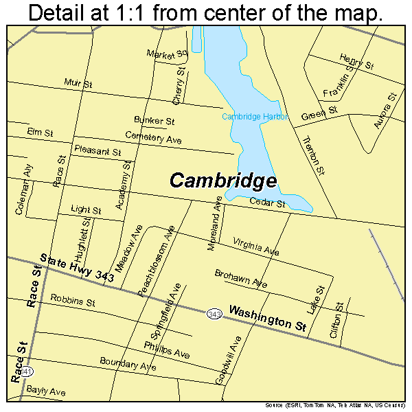 Cambridge, Maryland road map detail