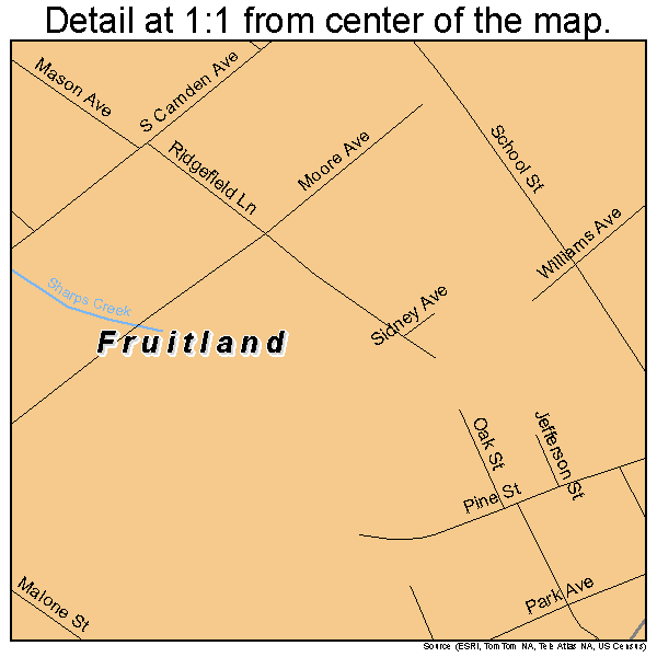 Fruitland, Maryland road map detail