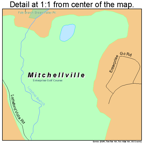 Mitchellville, Maryland road map detail