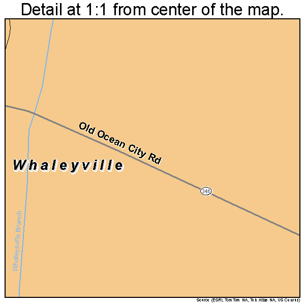 Whaleyville, Maryland road map detail