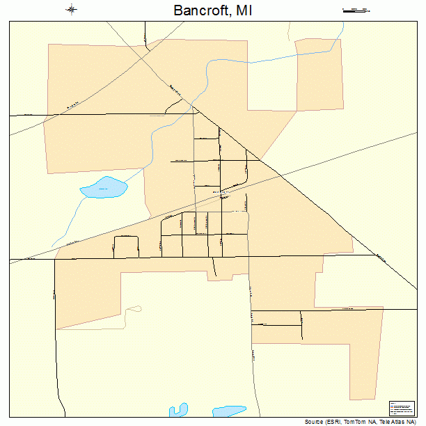 Bancroft, MI street map