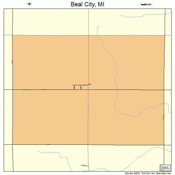 Beal City, MI street map