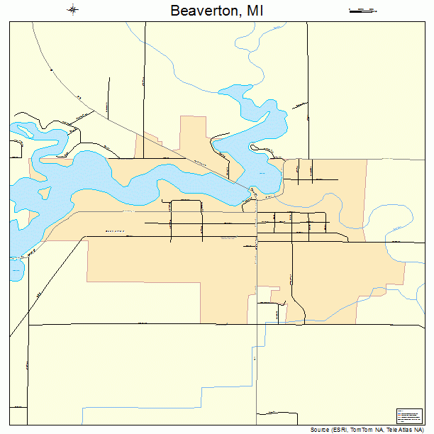 Beaverton, MI street map