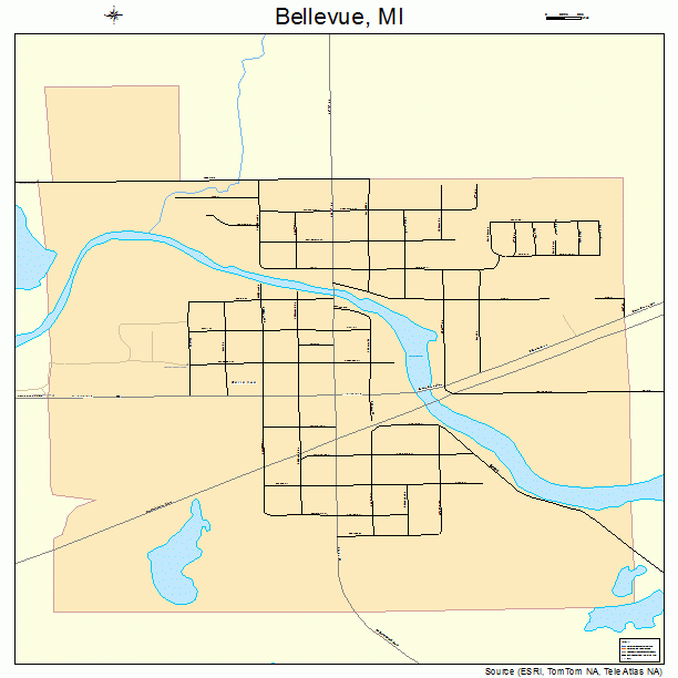 Bellevue, MI street map