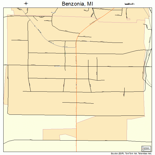 Benzonia, MI street map