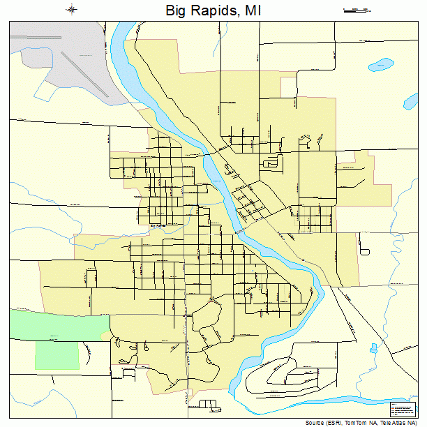 Big Rapids, MI street map
