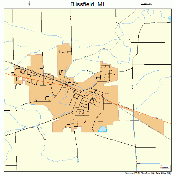 Blissfield, MI street map